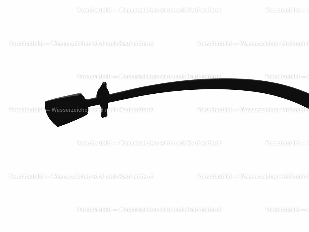 Vogel auf Laterne | online Fotogalerie mit schwarz-weiß Fotografien und Shop für zeitlose  Poster und Leinwände in stilvollem schwarz weiß  - Realisiert mit Pictrs.com