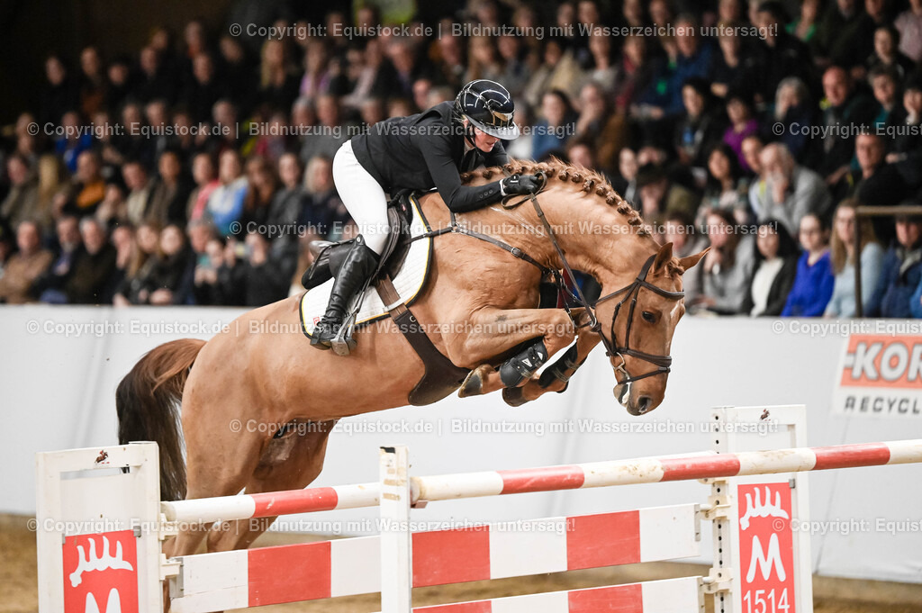20260307_Hengstvorstellung-Marbach_0157 | equistock