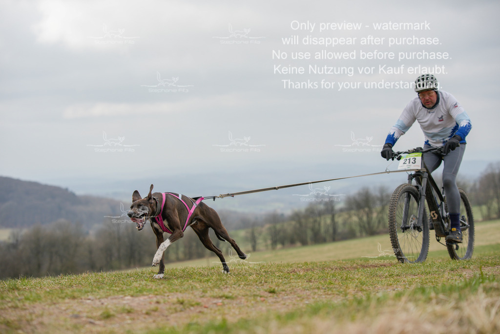 BikeSA-85 | stephaniefillaphotographie - Realisiert mit Pictrs.com