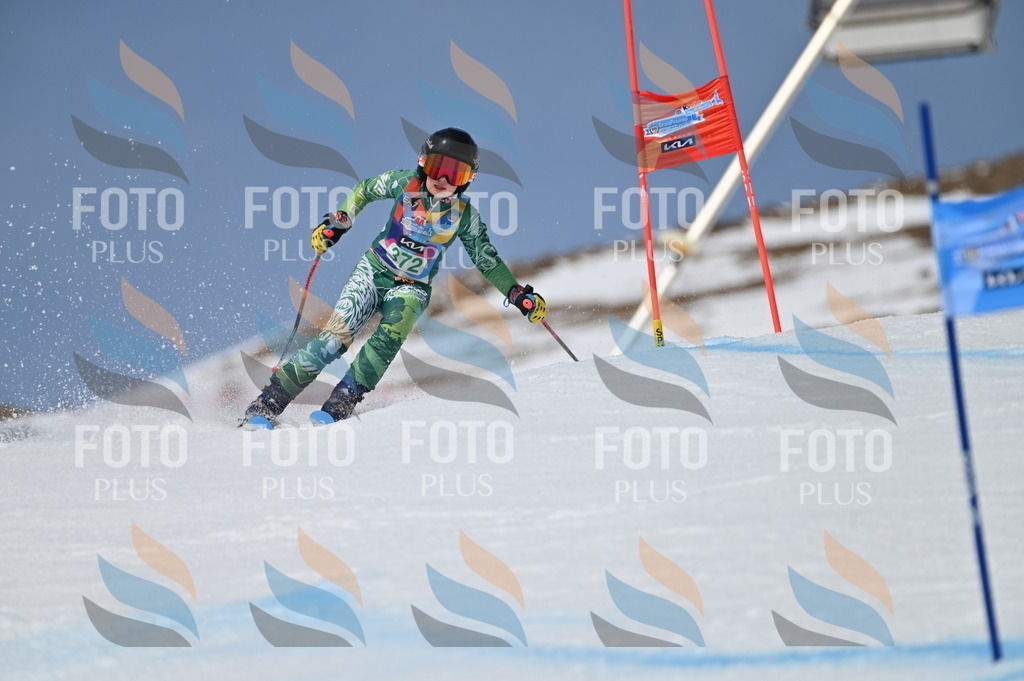 BGV_7342 | holidayphoto