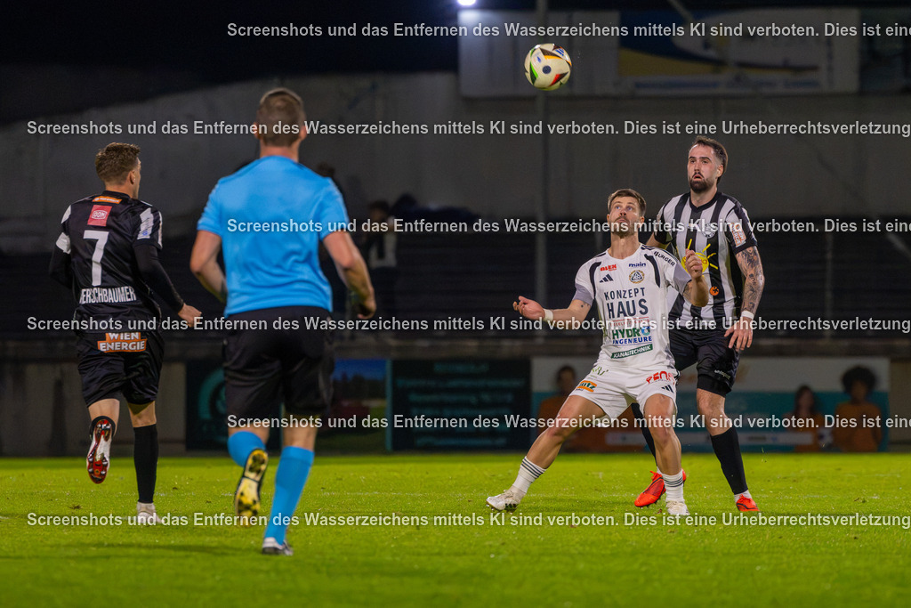 7K3A1631 | Regionalliga Ost - 10. Runde
