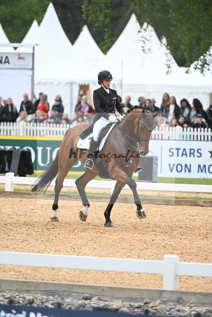 Neumayer_Zap Zap_11232678 | hf-fotografie - Realisiert mit Pictrs.com