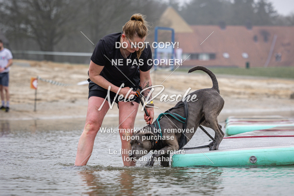 nelerasche_Hulsbeek_Sa0845-1030_310 | nelerasche