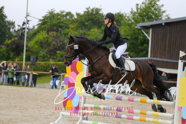 IMG_5104 | Turniersportfotografie; Pferdefotografie; Dressurfotografie