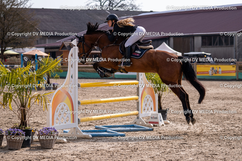 Kranichstein Tag 2-1537 | dv-media-shop - Realisiert mit Pictrs.com