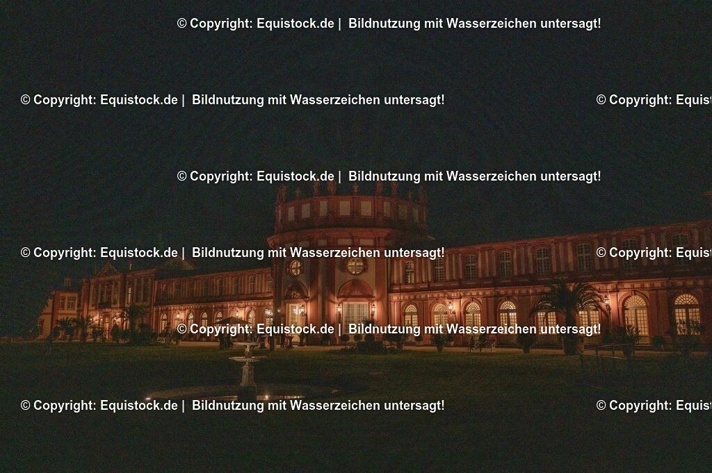 20230527_Voltigieren_NASPA_Flutlicht_1243 | equistock