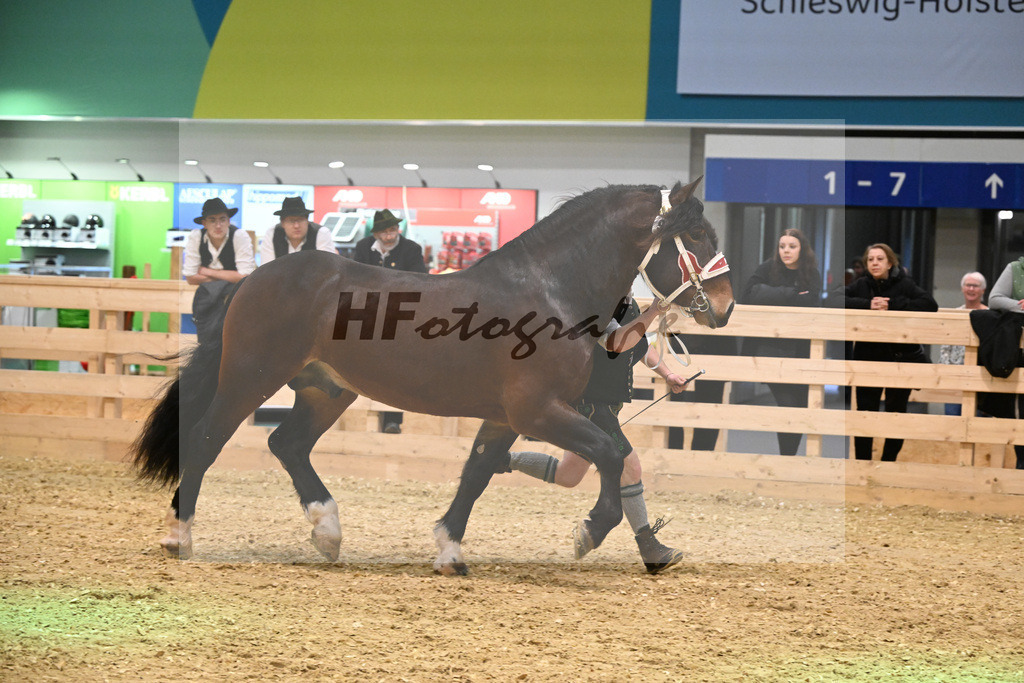 Kat-Nr. 9 Rubino III W v. Rivero_Fritzmeier_1260163 | hf-fotografie - Realisiert mit Pictrs.com