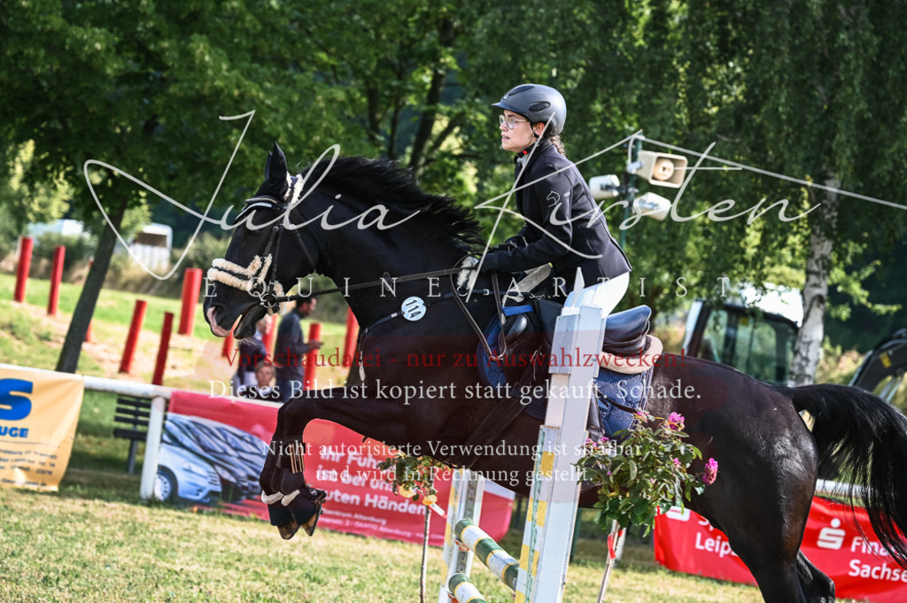 DSC_7882 | Pferde- und Turnierfotografie in Westsachsen. Pferdeportraits, Auftragszeichnungen und intuitive Kunst.