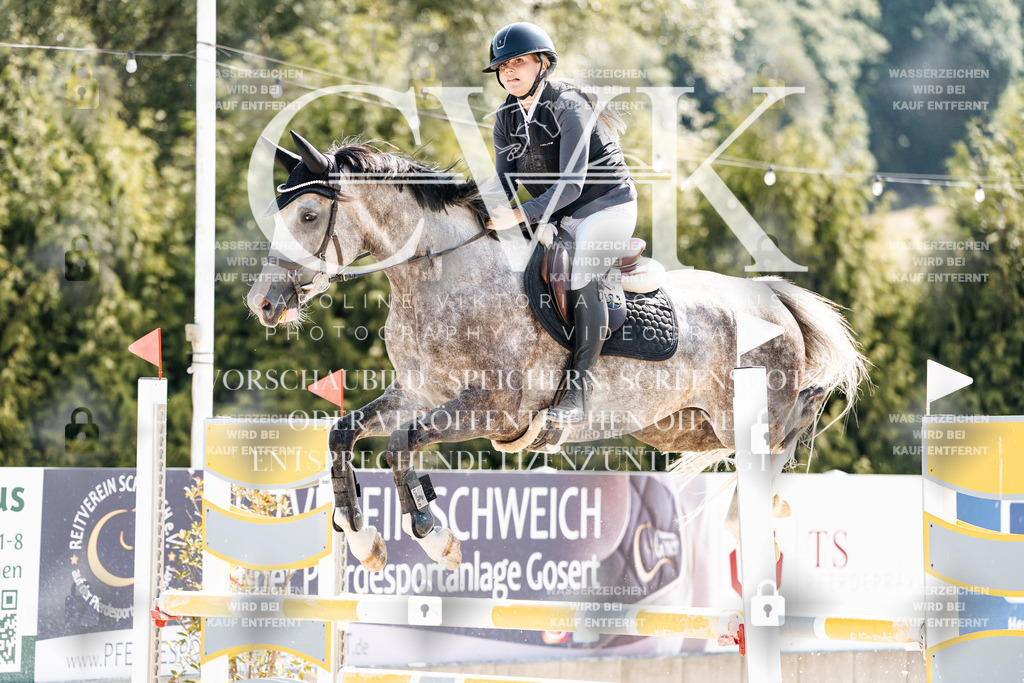 CK908571 | Turnierfotografie Pferdefotografie Trier Rheinland-Pfalz Pferdesport Reitsport Tierfotografie Sportfotografie Pferdevideo Pferdevideografie Equestrianvideography equestrianphotography  - Realisiert mit Pictrs.com