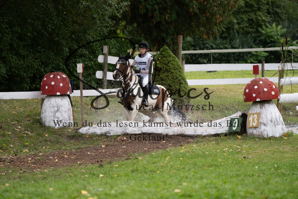 A7V03635 | Pferdefotograf