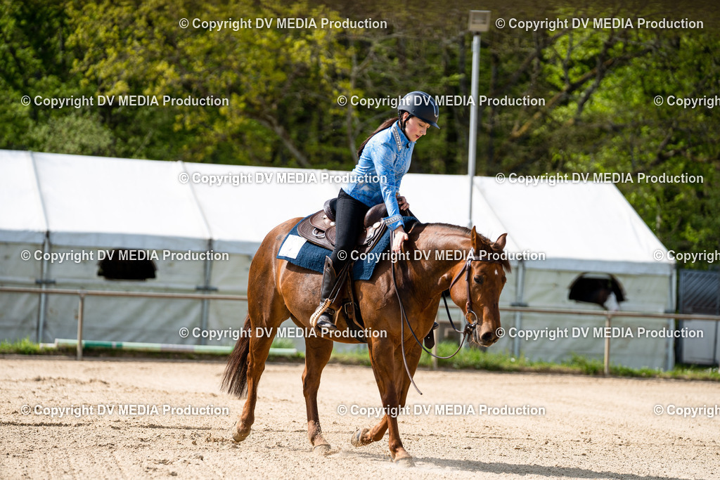 Heiligenwald Tag 2-930 | dv-media-shop - Realisiert mit Pictrs.com