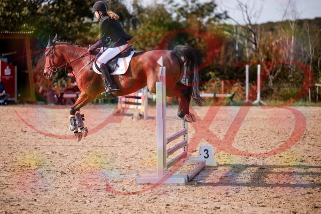 2026_10_03_Siefer-Hof_161028_Z81_89983064 | Professionelle Reitsport-, Turnier- und Eventfotografie von Robert Broda. Galerien mit ausgewählten und bearbeiteten Bildern direkt online ansehen und bestellen.