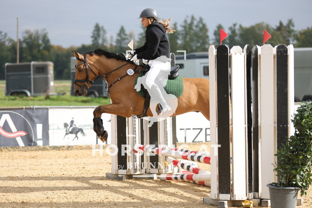 0P6A7757 | Willkommen bei Brunnmayr - Design & Fotografie – Ihrem Spezialisten für Reitturniere und Pferdeveranstaltungen in Oberösterreich, Salzburg und Bayern! Seit über 17 Jahren sind wir leidenschaftlich dabei.