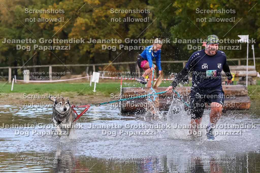 Dog Paparazzi - Strongdog 10-25-6753 | Dog Paparazzi Jeanette Grottendiek Fotografie & Videografie - Realisiert mit Pictrs.com