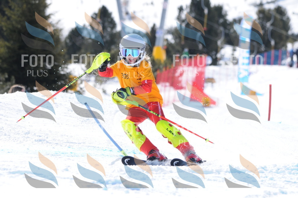 C9143 | holidayphoto