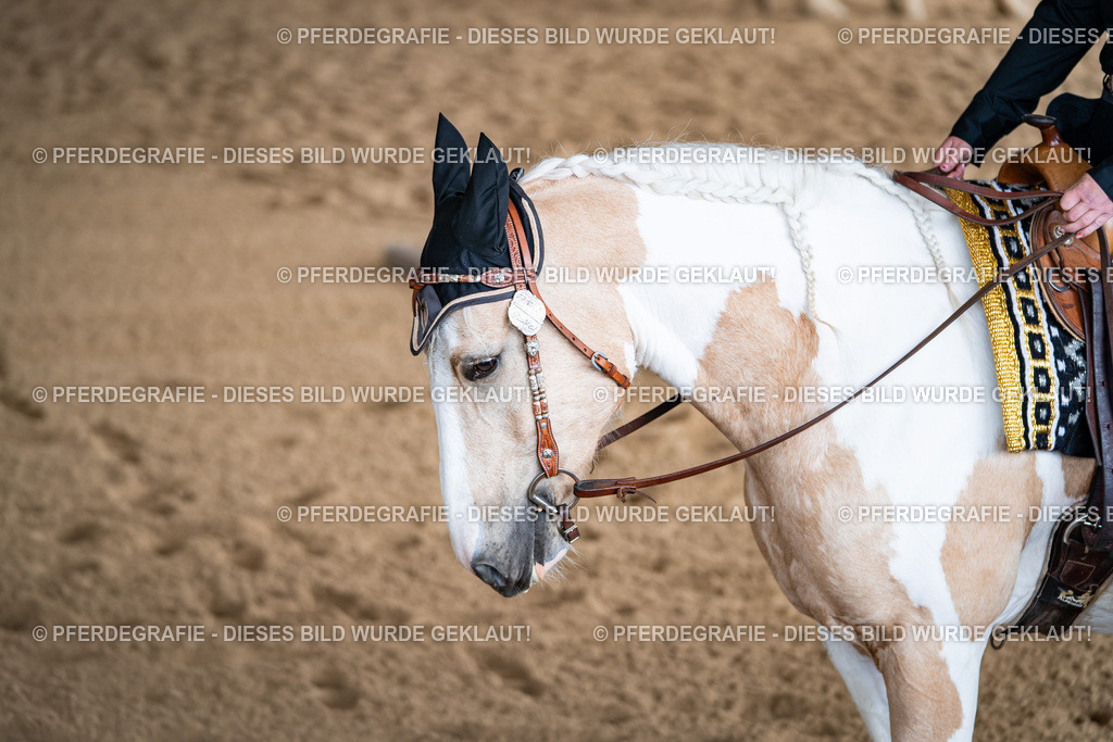 DSC02082 | Pferdegrafie