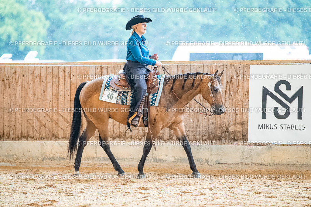 DSC00530 | Pferdegrafie