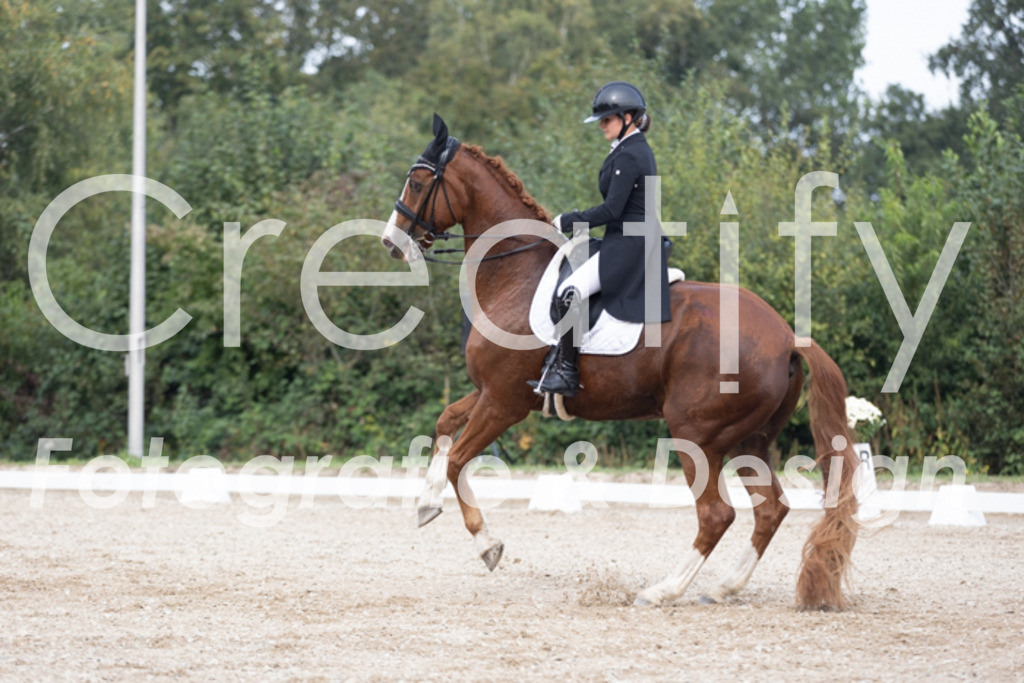 IMG_4767 | Creatify Fotografie