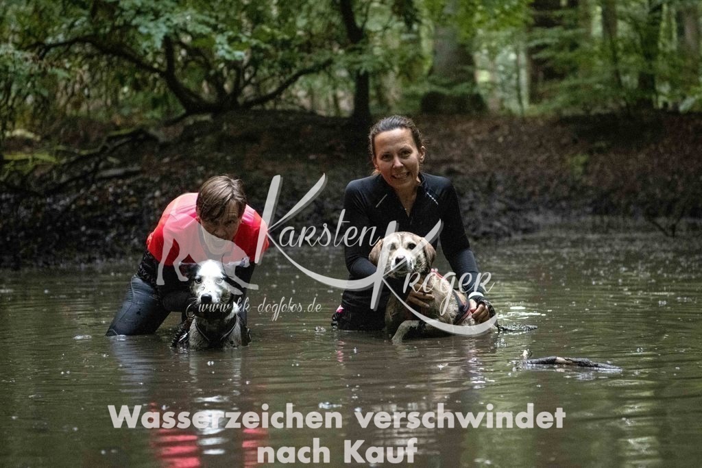 1232_ZZ91022-Bearbeitet | kk-dogfotos