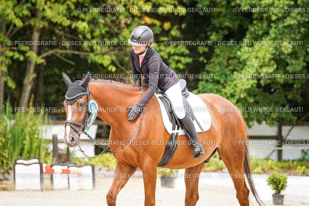 DSC04691 | Pferdegrafie