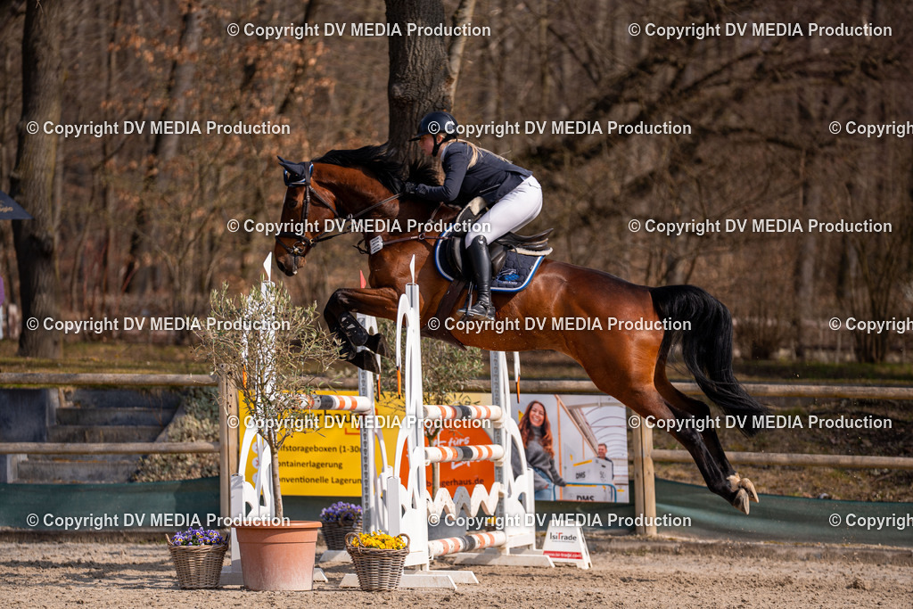 Kranichstein Tag 2-1503 | dv-media-shop - Realisiert mit Pictrs.com