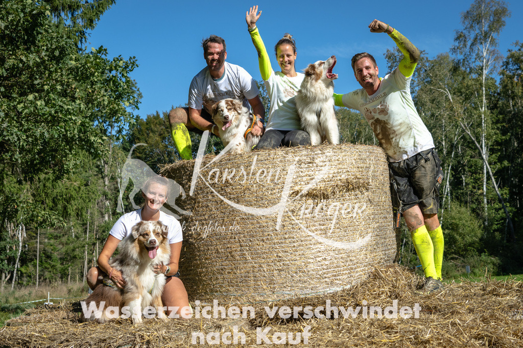1213_ZZ90750-2 | kk-dogfotos
