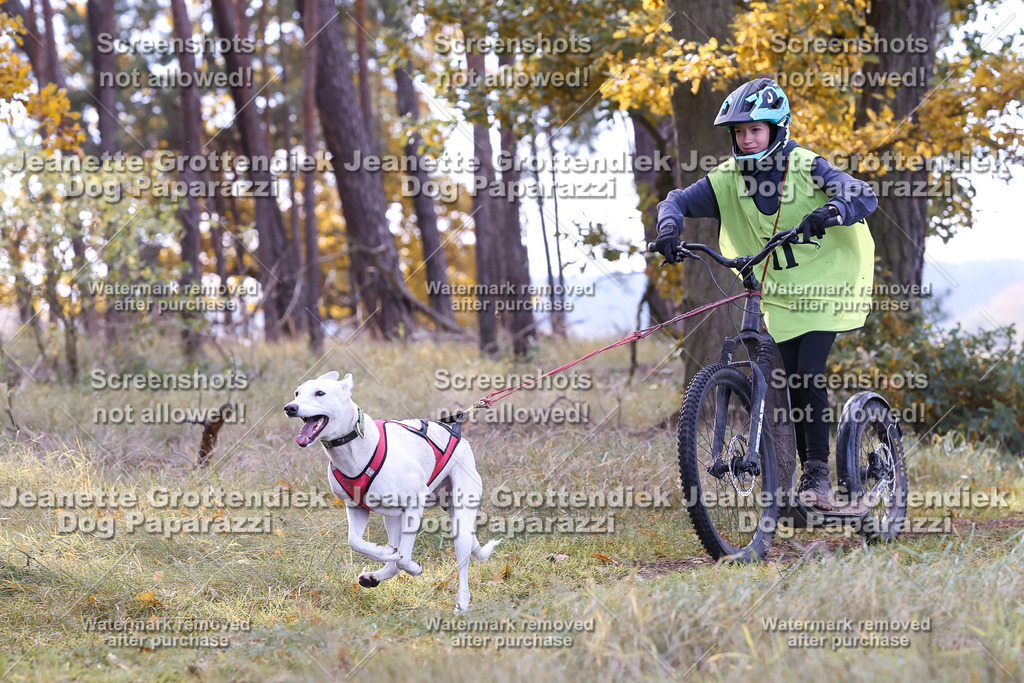 Dog Paparazzi - Elsholz 25 -182 | Dog Paparazzi Jeanette Grottendiek Fotografie & Videografie - Realisiert mit Pictrs.com