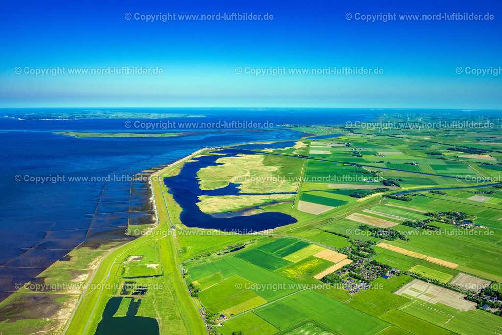 Ockholm_Speicherbecken_ELS_8269100623 | OCKHOLM 10.06.2023 Küsten- Landschaft mit Deich- Schutzstreifen am Speicherbecken Süd an der Straße L191 in Ockholm Nordfriesland im Bundesland Schleswig-Holstein, Deutschland. Naturschutzgebiet, Landwirtschaft und Windkraft -Anlagen. // Coastline with dike protection strips on Speicherbecken Sued on street L191 in Ockholm North Friesland in the state Schleswig-Holstein, Germany. Foto: Martin Elsen