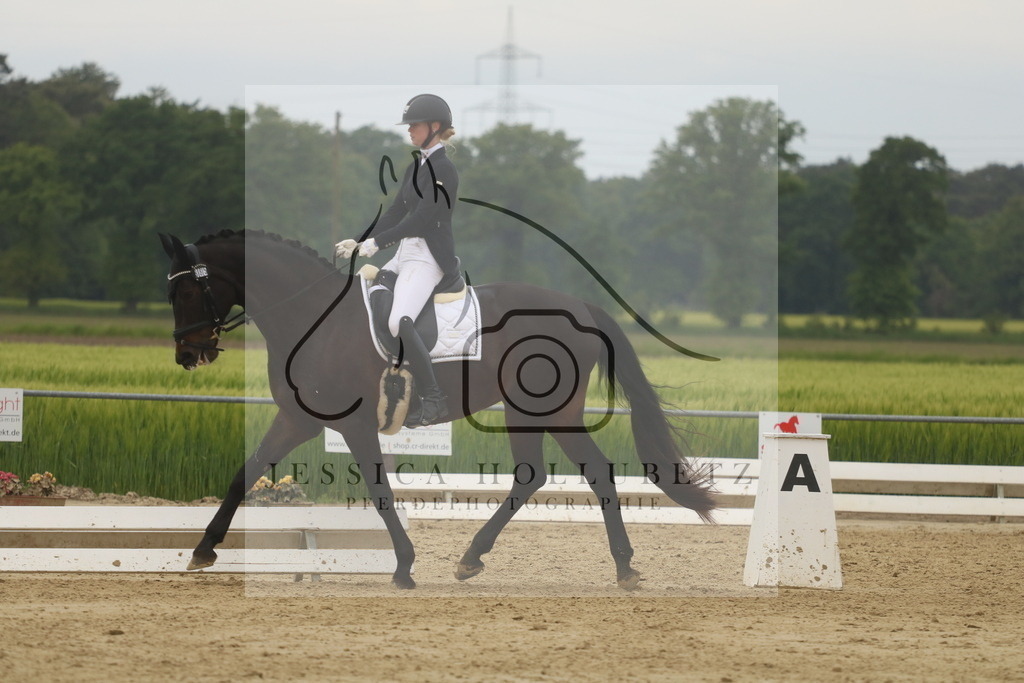 IMG_6242 | jessicahollubetz_pferdephotographie - Realisiert mit Pictrs.com