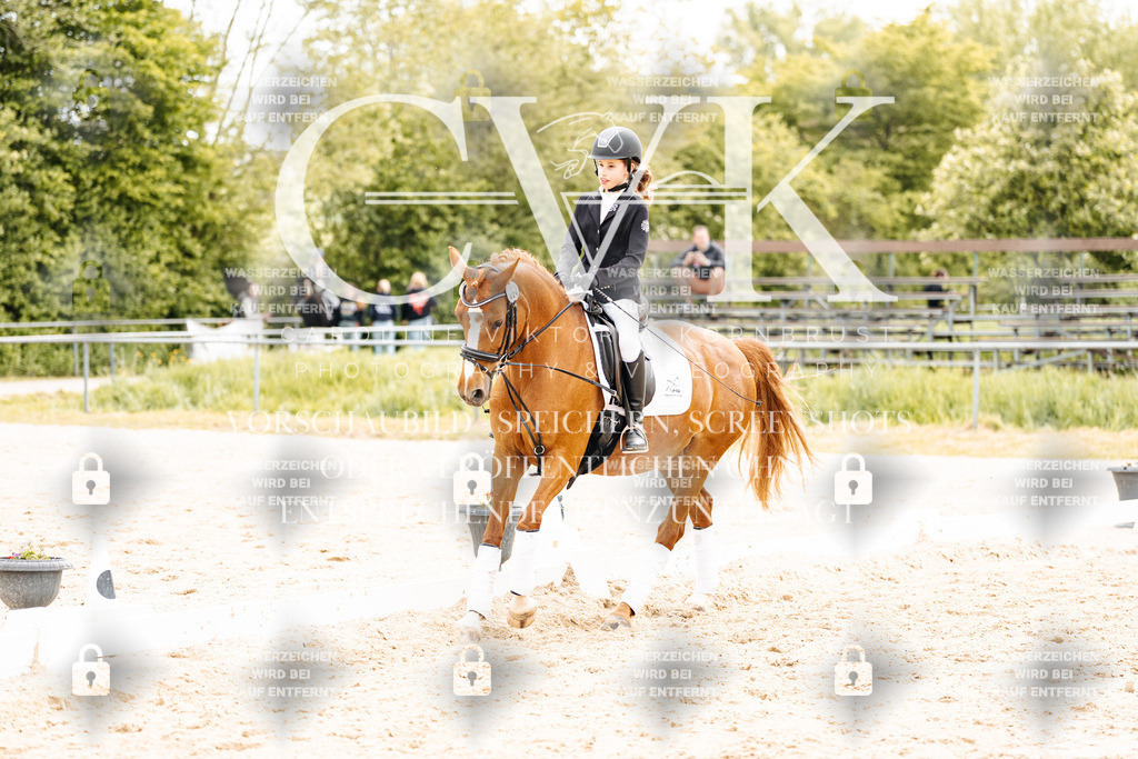 CK904590 | Turnierfotografie Pferdefotografie Trier Rheinland-Pfalz Pferdesport Reitsport Tierfotografie Sportfotografie Pferdevideo Pferdevideografie Equestrianvideography equestrianphotography  - Realisiert mit Pictrs.com