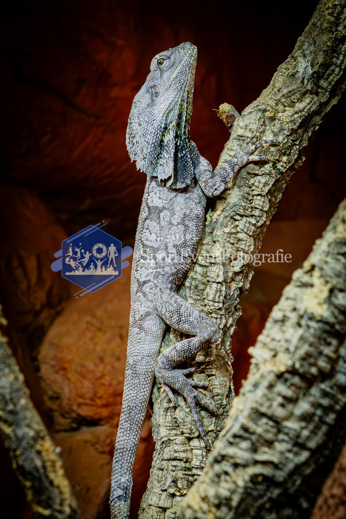 IMG_7651 | SportEventFotografie - Roman Stoiber