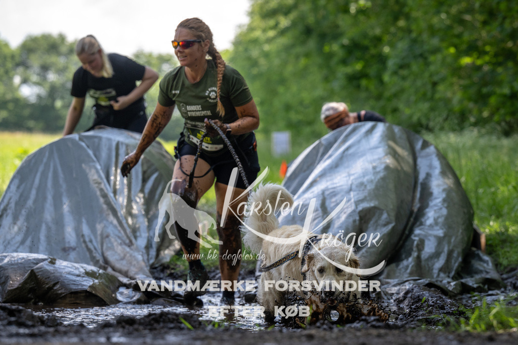 1155_ZZ90290 | kk-dogfotos
