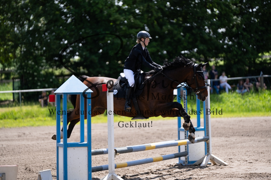 A7V04429 | Pferdefotograf