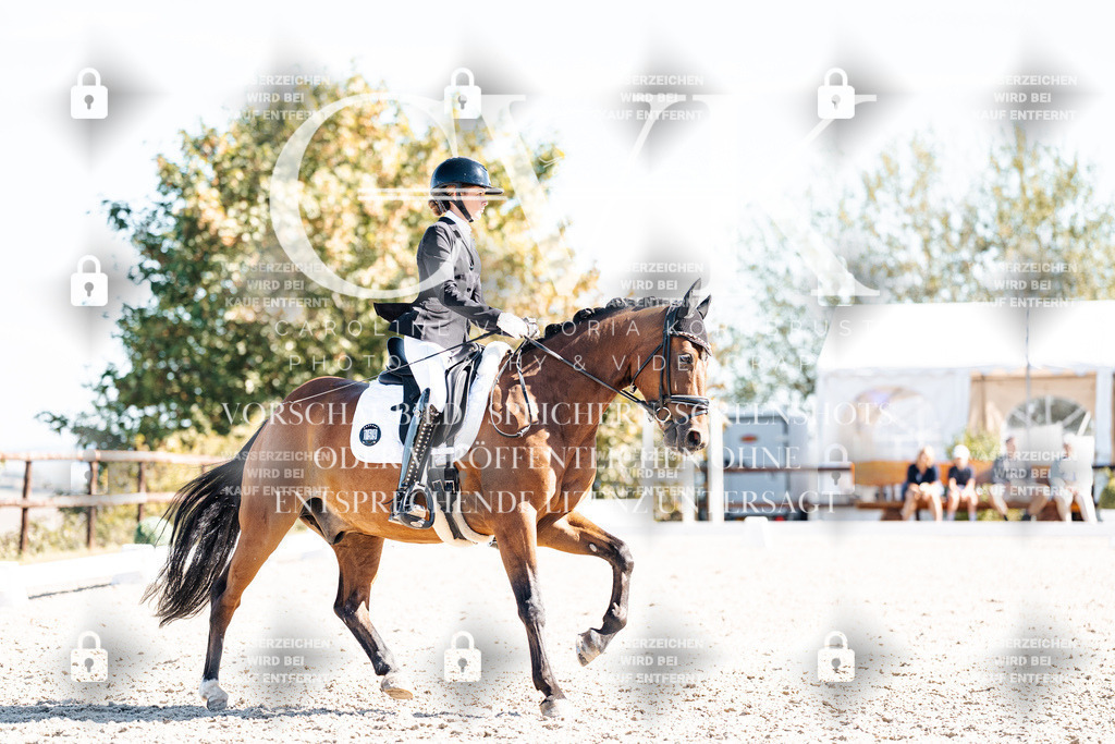 CK909254 | Turnierfotografie Pferdefotografie Trier Rheinland-Pfalz Pferdesport Reitsport Tierfotografie Sportfotografie Pferdevideo Pferdevideografie Equestrianvideography equestrianphotography  - Realisiert mit Pictrs.com