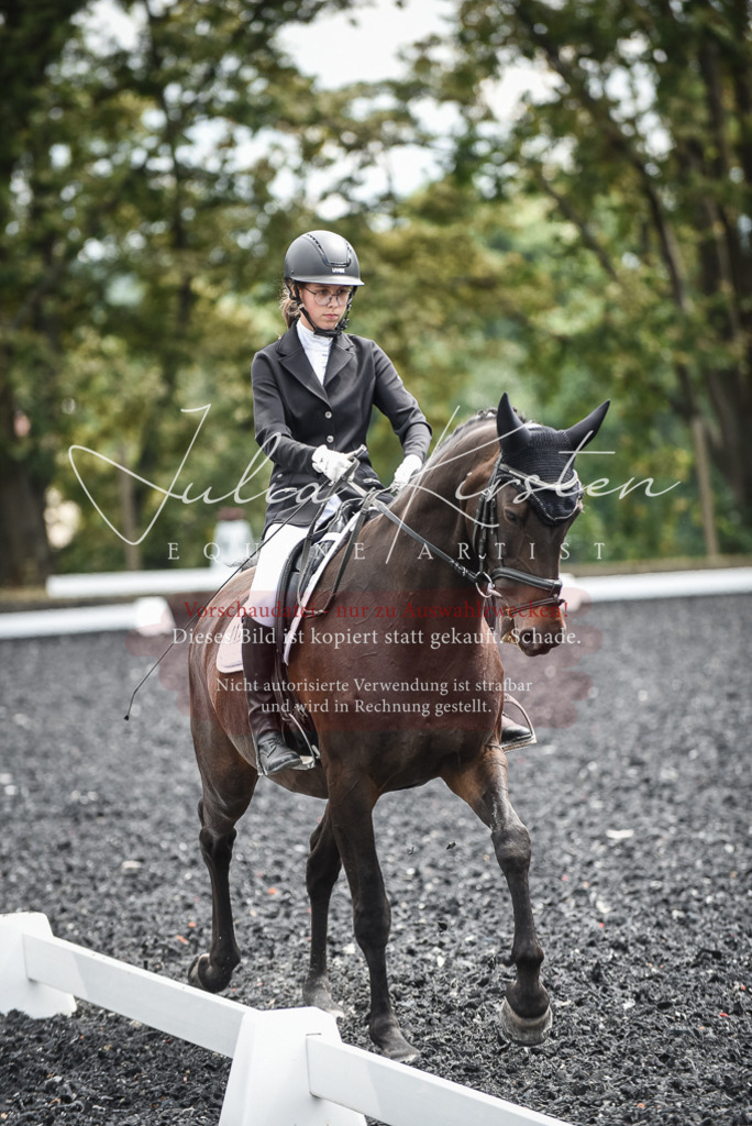 DSC_4700 | Pferde- und Turnierfotografie in Westsachsen. Pferdeportraits, Auftragszeichnungen und intuitive Kunst.