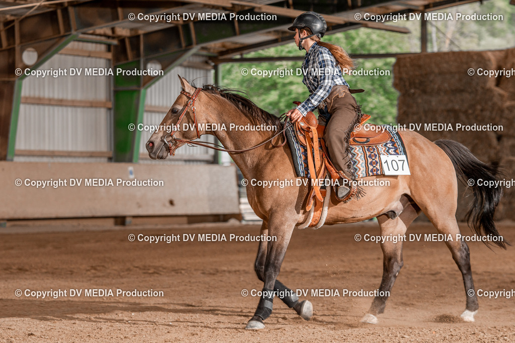 Balingen Tag 2-1112 | dv-media-shop - Realisiert mit Pictrs.com