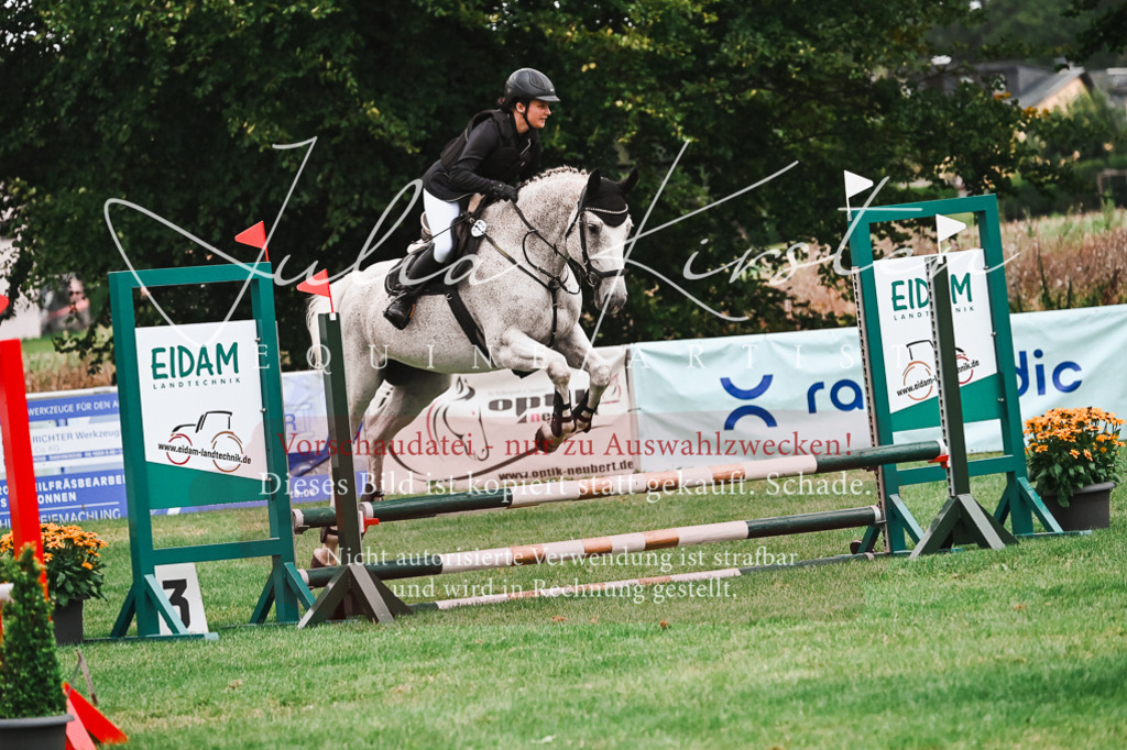 DSC_6061 | Pferde- und Turnierfotografie in Westsachsen. Pferdeportraits, Auftragszeichnungen und intuitive Kunst.