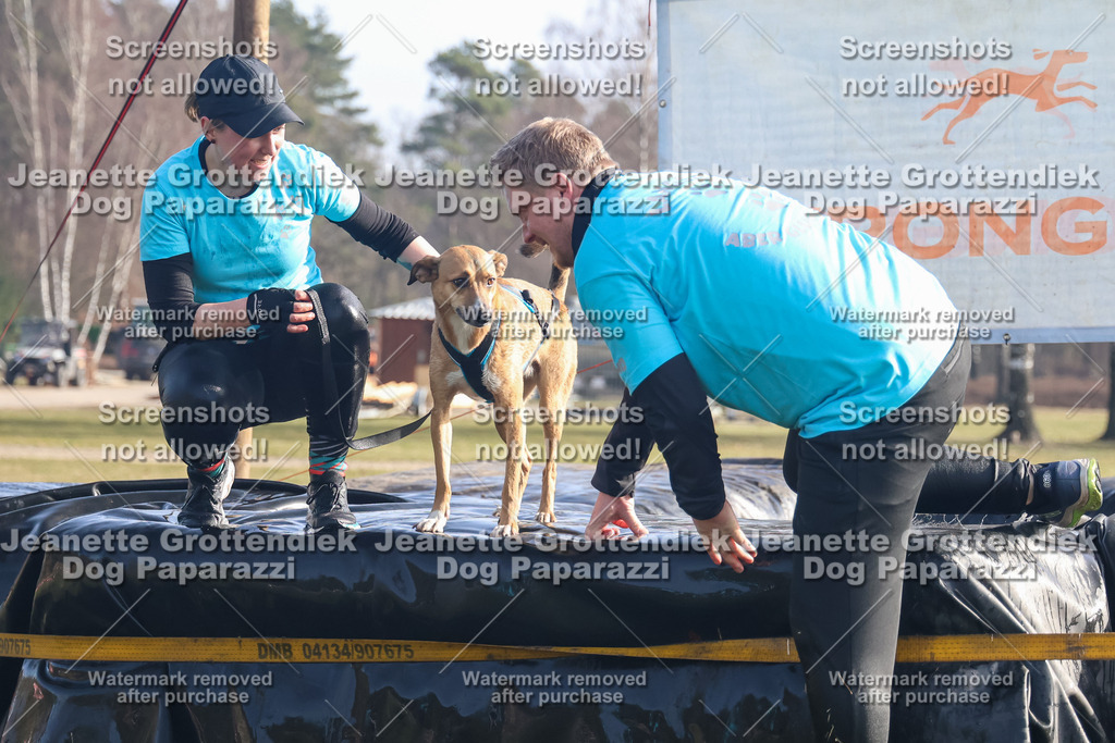 Dog Paparazzi - Strongdog North Mrz26-667 | Dog Paparazzi Jeanette Grottendiek Fotografie & Videografie - Realisiert mit Pictrs.com