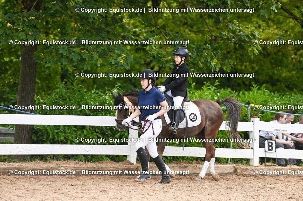 20230716_11_Führzügel-WB_0118 | equistock