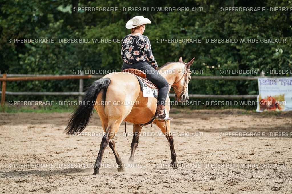 DSC04176 | Pferdegrafie