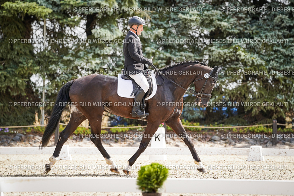 DSC08866 | Pferdegrafie