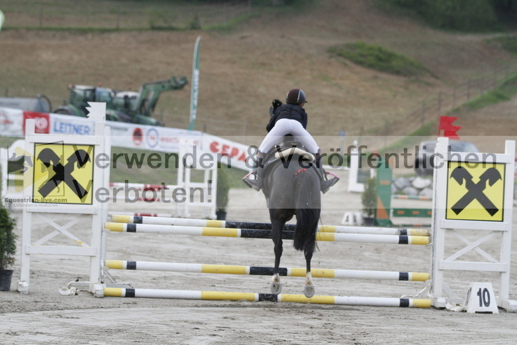 _MG_3518 | equestrian-live-com