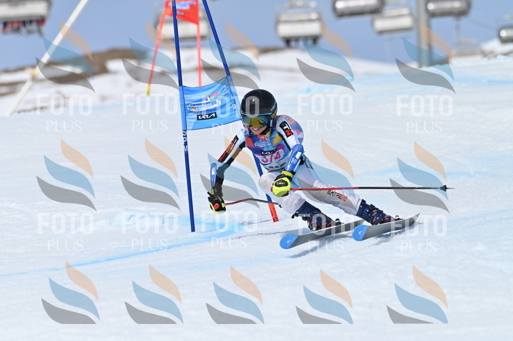 BGV_4078 | holidayphoto