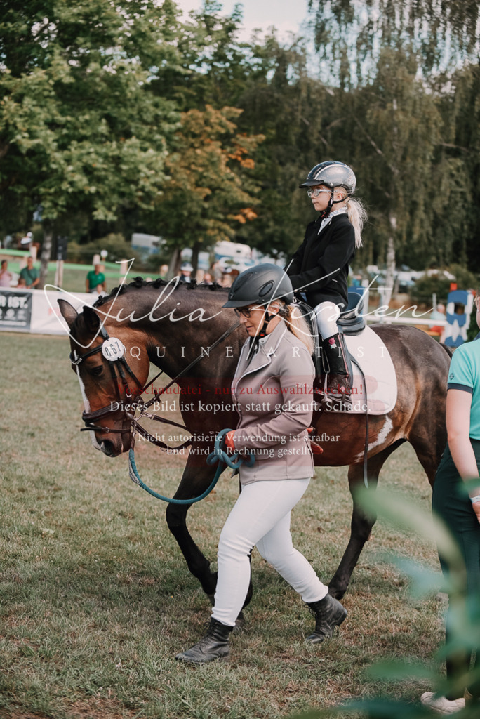 DSC_6057 | Pferde- und Turnierfotografie in Westsachsen. Pferdeportraits, Auftragszeichnungen und intuitive Kunst.