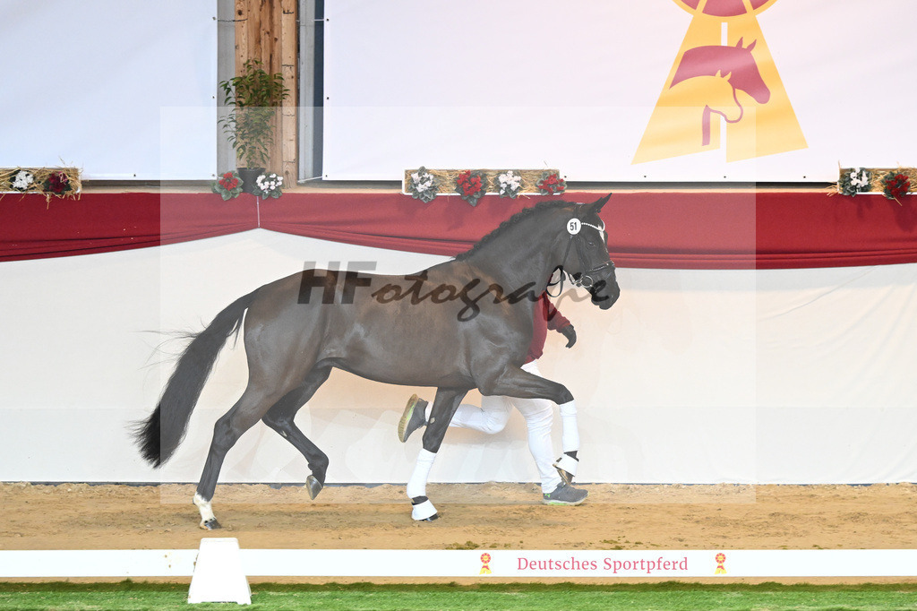 Kat-Nr. 51 Fantastic_Wilbers_1230286 | hf-fotografie - Realisiert mit Pictrs.com