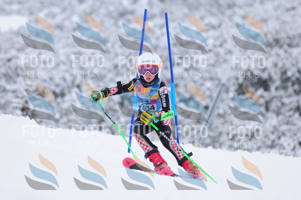 C3222 | holidayphoto