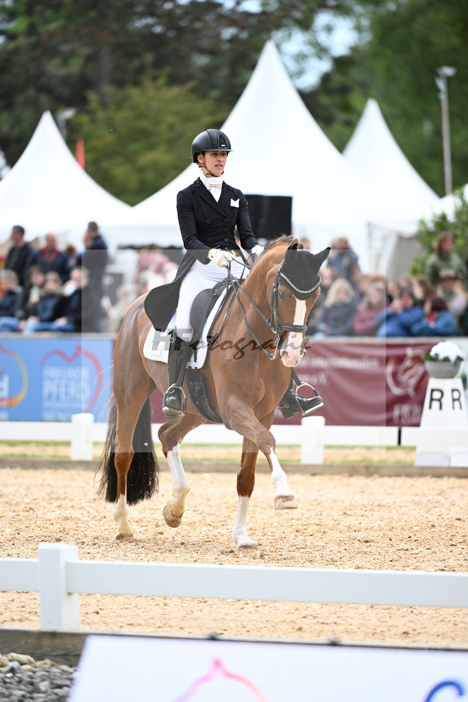 Burger_Quadriga_s Donna Dream_11251441 | hf-fotografie - Realisiert mit Pictrs.com