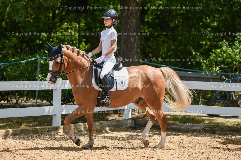 20230715_09_Dressur-WB_0258 | equistock