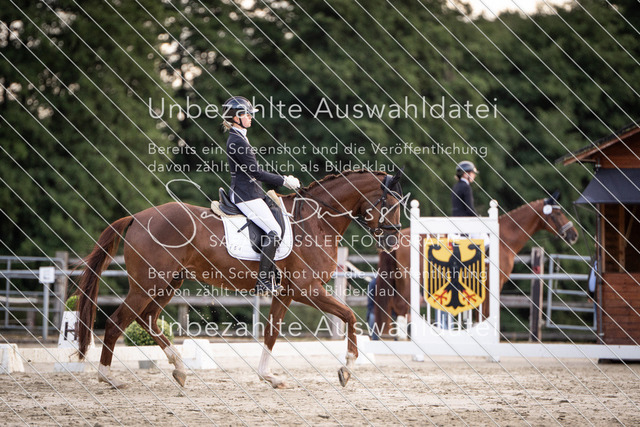 SD_OED_02398 | saradresslerfotografie - Realisiert mit Pictrs.com