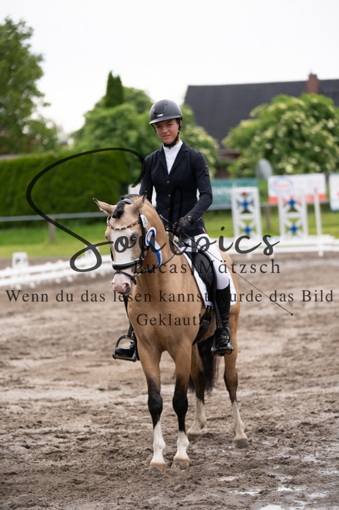 A7V03832 | Pferdefotograf